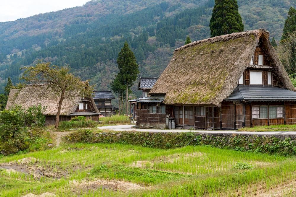 This experience offers peaceful, culturally immersive, and authentically traditional Japanese countryside feelings (Source: Freepik)
